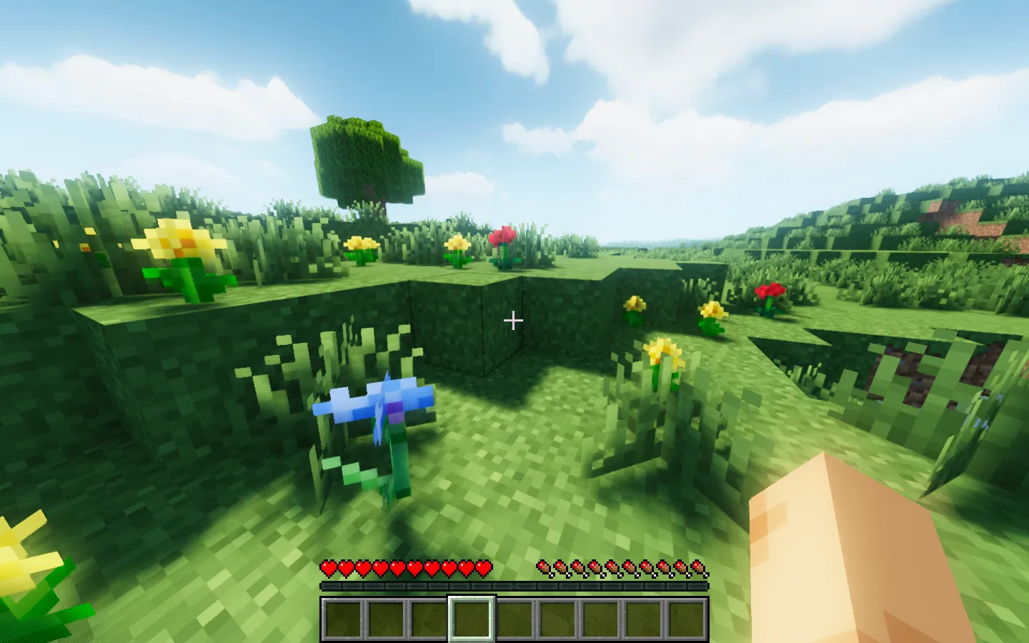 Gras